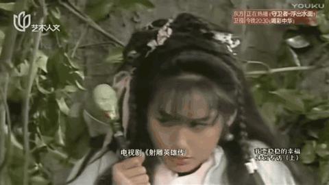 黄贯中朱茵周星驰黄家驹,朱茵喜欢周星驰还是罗贯中