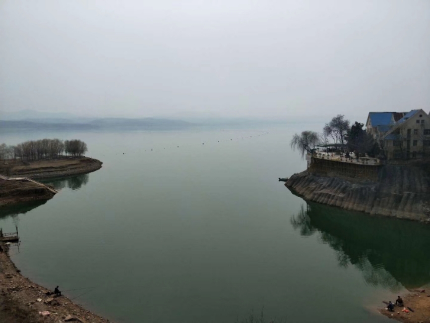 洛阳牡丹花会邀请,洛阳邀请全世界人民看牡丹