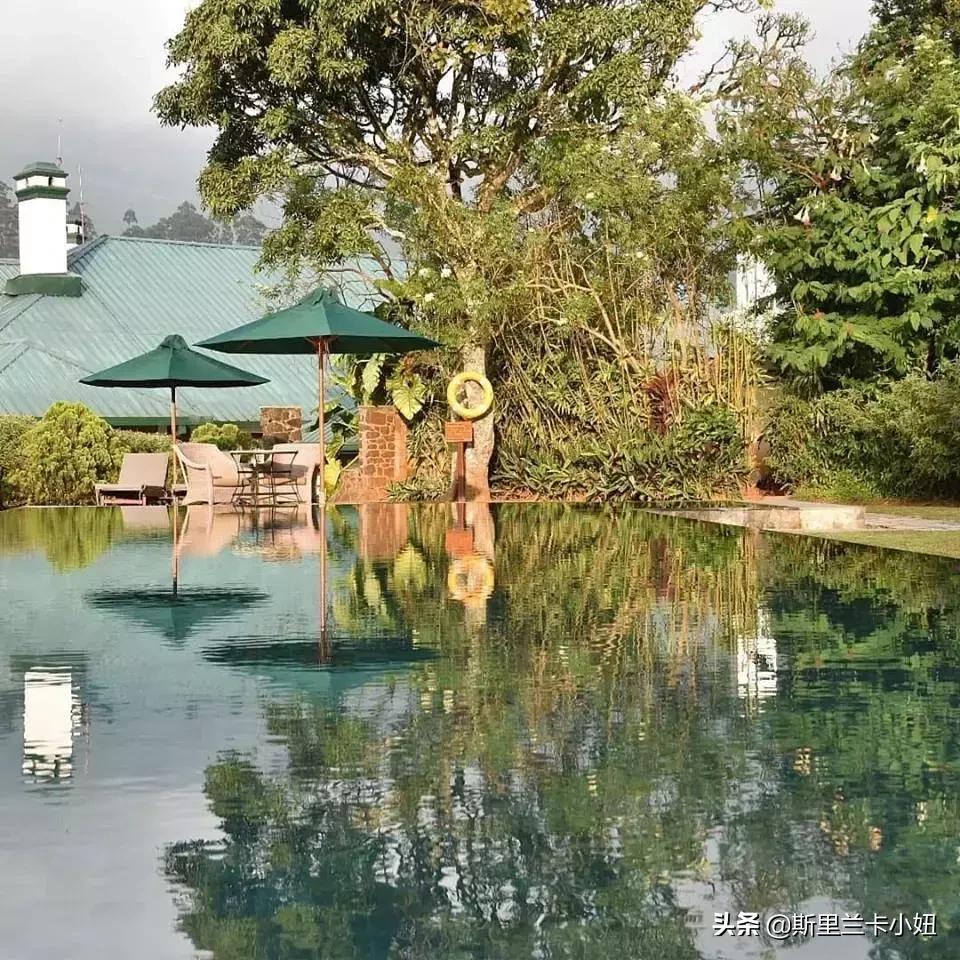 鏂噷鍏板崱缃楄幈澶忔湹,缃楄幈澶忔湹闇嶉】鑻卞紡鑼跺洯