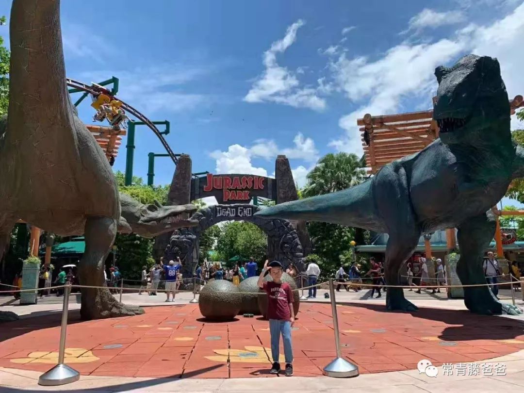 十一新加坡,十一游学新加坡