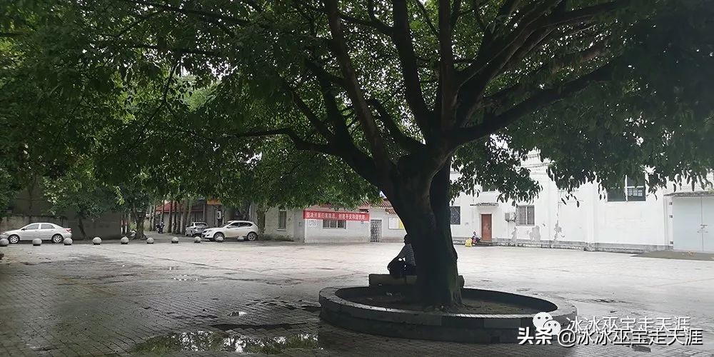 绿皮车成渝铁路上运行,川黔铁路最后的绿皮车