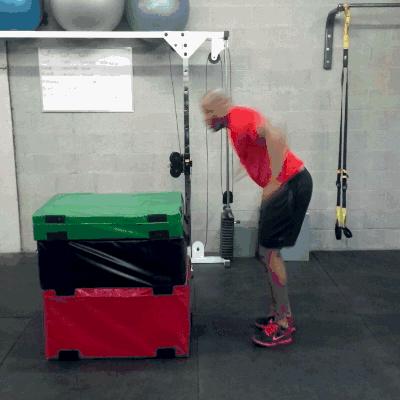 八种训练方法分别是,8个经典训练动作大全