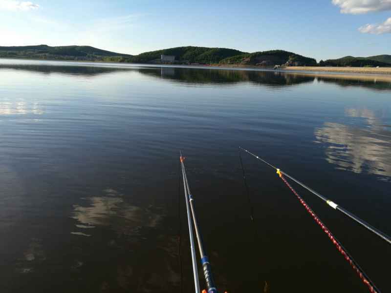 钓鲫鱼正确方法与技巧,天气突然变冷钓鱼怎么钓