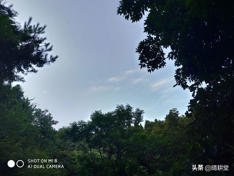 赣州峰山附近一日游自驾游景点,赣州峰山美景