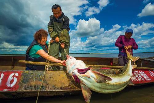 赫哲族的渔猎文化,赫哲渔文化