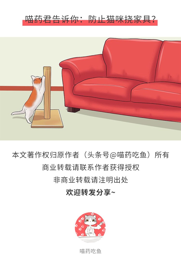 怎么改变猫咪挠人的习惯,怎么让猫咪改掉抓你的坏习惯