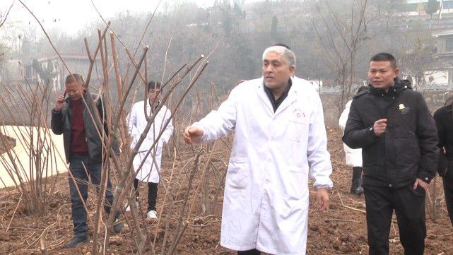 河南老中医尚飞都市报道,祖传老中医尚飞