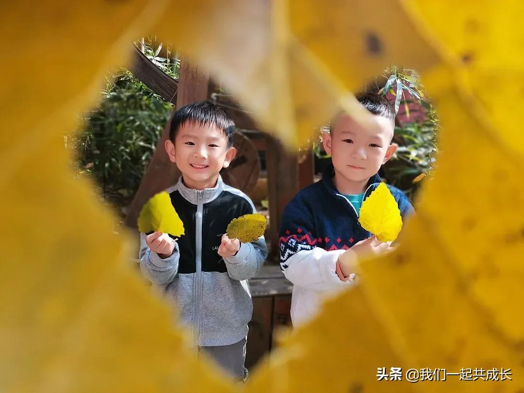 寻一抹秋色，遇一片美好：济南市启明星幼儿园的秋之美