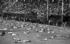 1994年卢旺达人遭受了什么,1994年卢旺达屠族事件纪录片