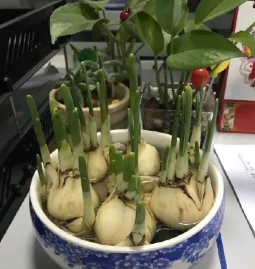 张铭恩对徐璐说没有心动过完整版,张铭恩徐璐互怼完整版