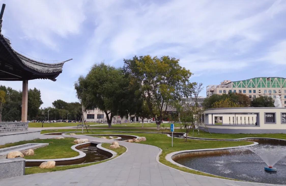 东北农业大学在黑龙江排名第几,黑龙江省前五名的大学