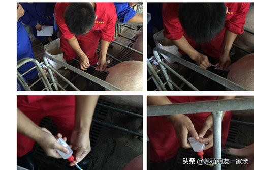 输精治疗的最好方法,输精管堵塞还有精子排出不