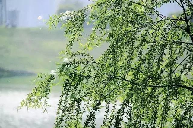 有关韩愈写春的绝句,韩愈关于寻找春天的诗