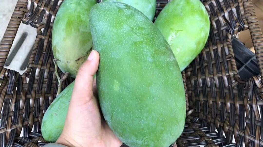 生鲜水果的操作,生鲜水果销售方式和技巧