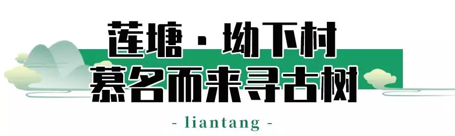 隐藏在梧桐山里的世外桃源,深山独门独户世外桃源
