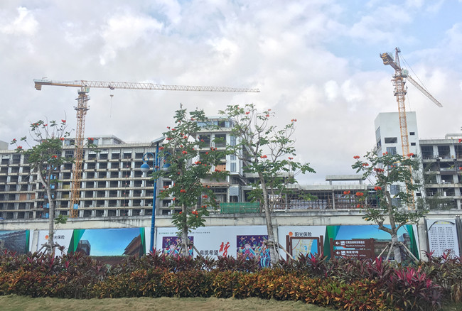 一条海棠路，半座三亚城：“海岛第一路”背后蕴藏怎样的资源密码