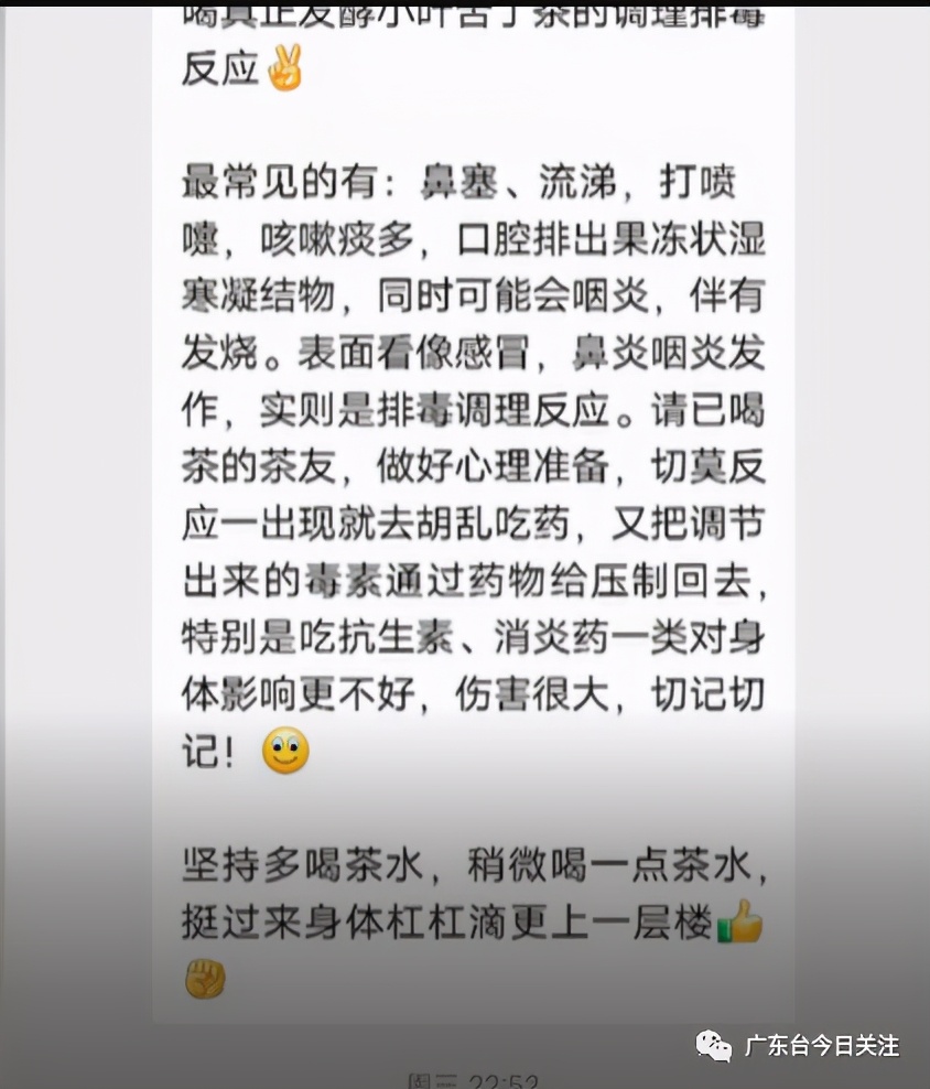 老年人适合喝苦丁茶,快转给爸妈