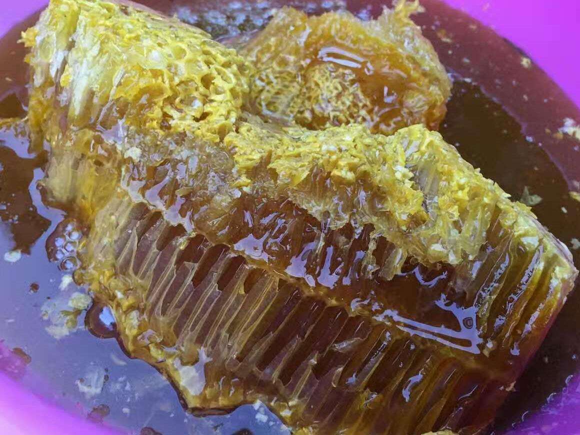 十大名贵山珍排行榜,十大名贵的菜有哪些