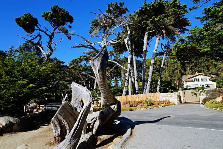 美国德州西部自由行,美国西海岸可以自由航行么