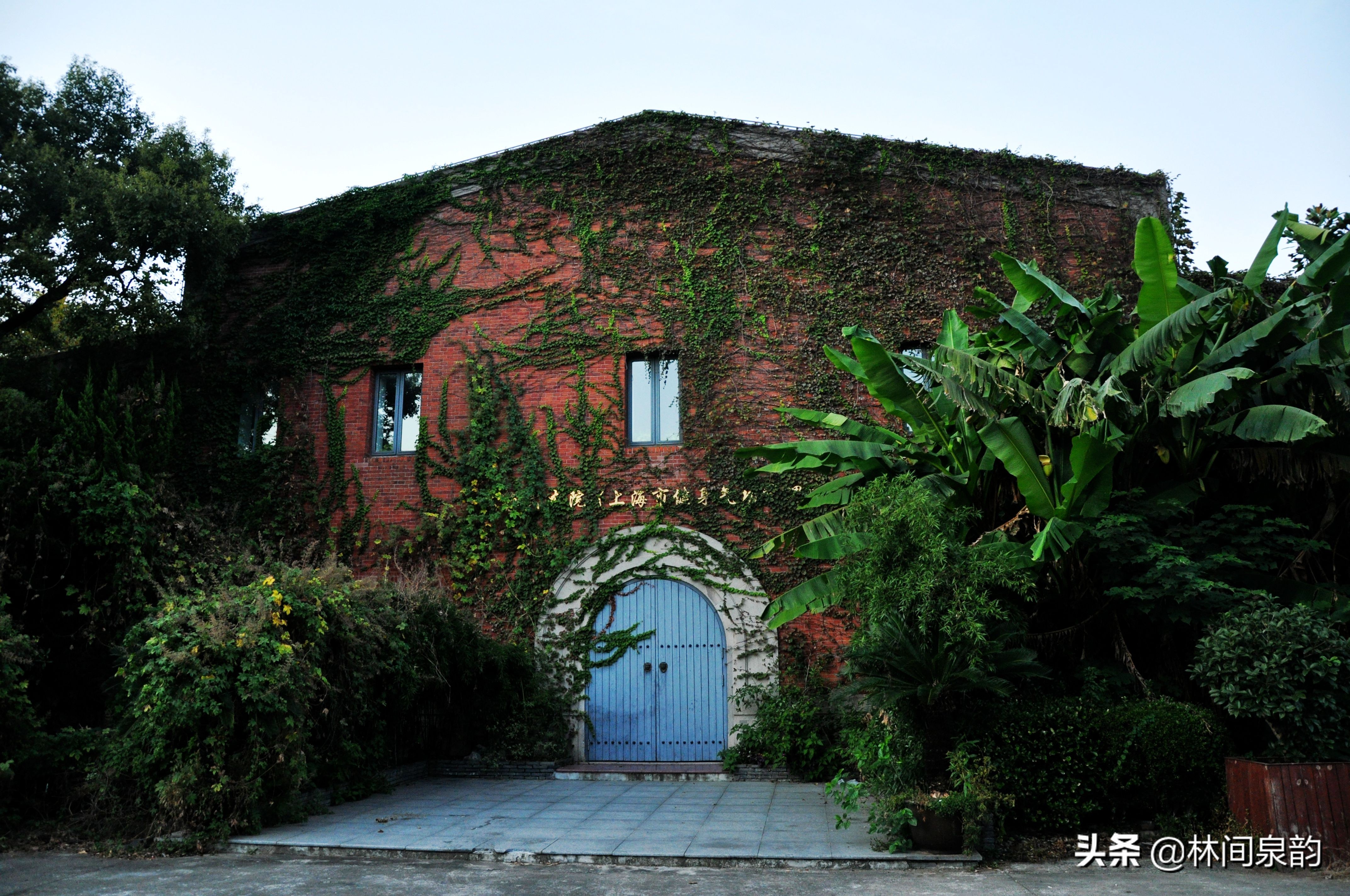 号称“远东第一体育场”的江湾体育场，高端大气功能齐全环境优美