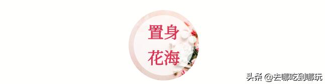 58抢花都志惠农场+玻璃桥套票惊险横跨268米更有环球飞车项目
