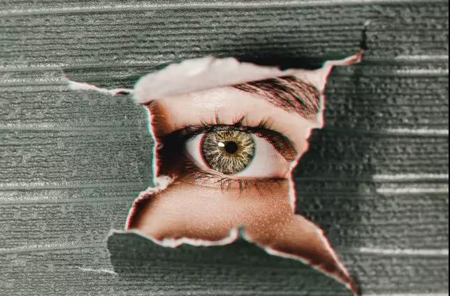 爬虫会不会进监狱,爬虫进监狱