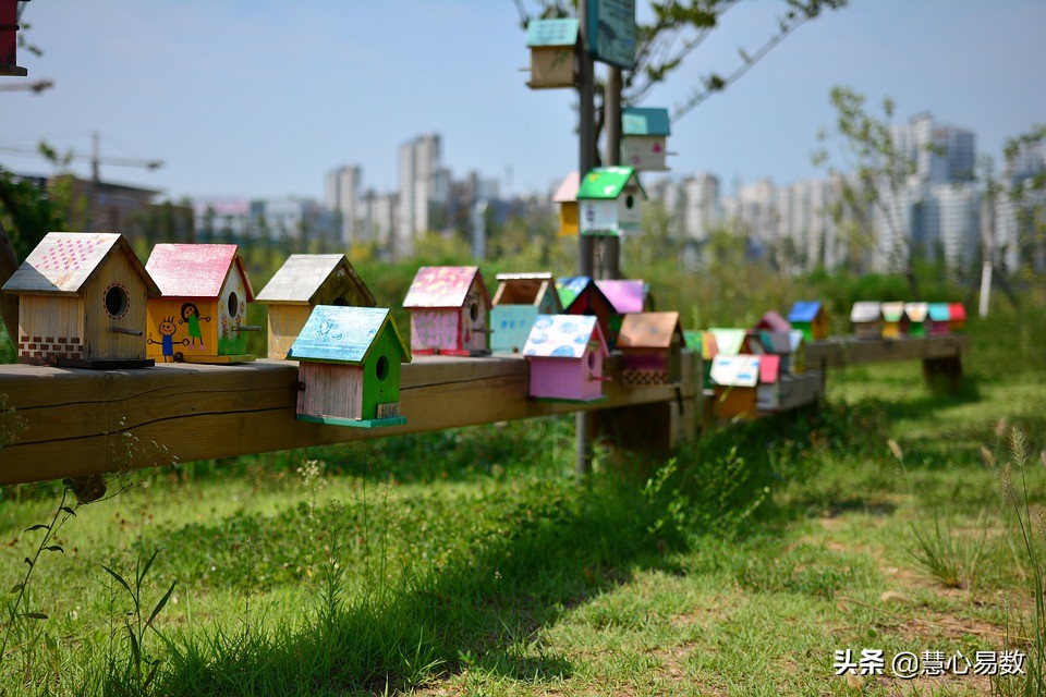 慧心易数算命视频下载,绝命五鬼磁场组合分析