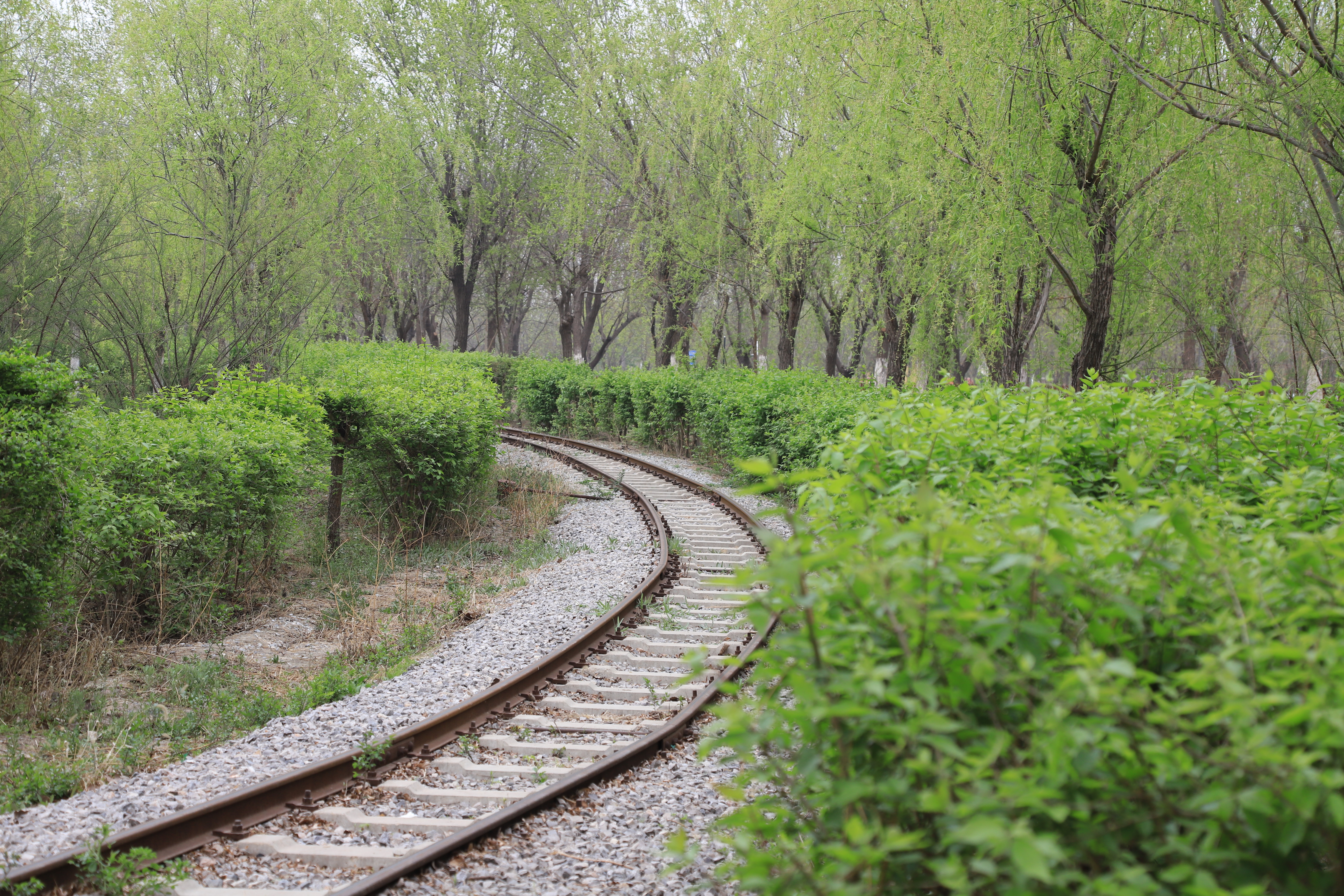 新奇好玩的公园,西青郊野公园开放最新通知