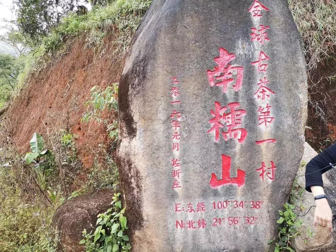 鍏ぇ鑼跺北绉戞櫘,浜戝崡鍏ぇ鑼跺北浠嬬粛