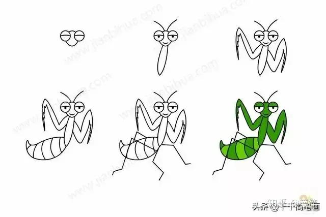 画小动物简笔画简单又漂亮,春天里的小动物怎么画简笔画