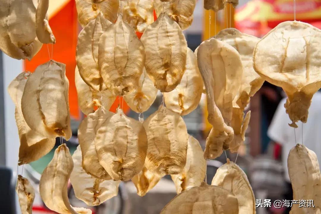 怎么区别花胶公母有教程,花胶公母区别方法图解