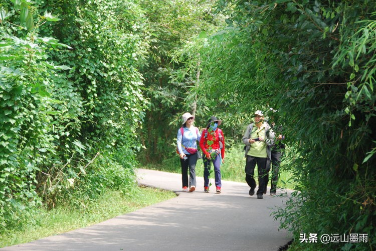昆明嘉丽泽小镇旅游,昆明嘉丽泽水乡