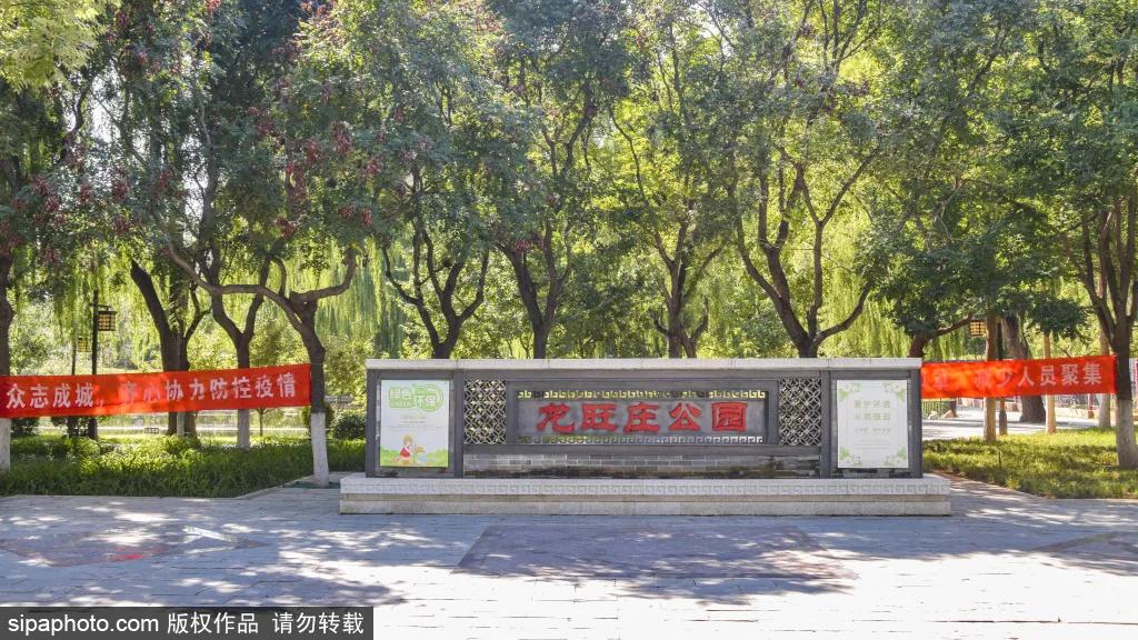 绿皮火车公园打卡景点,各种各样的免费公园