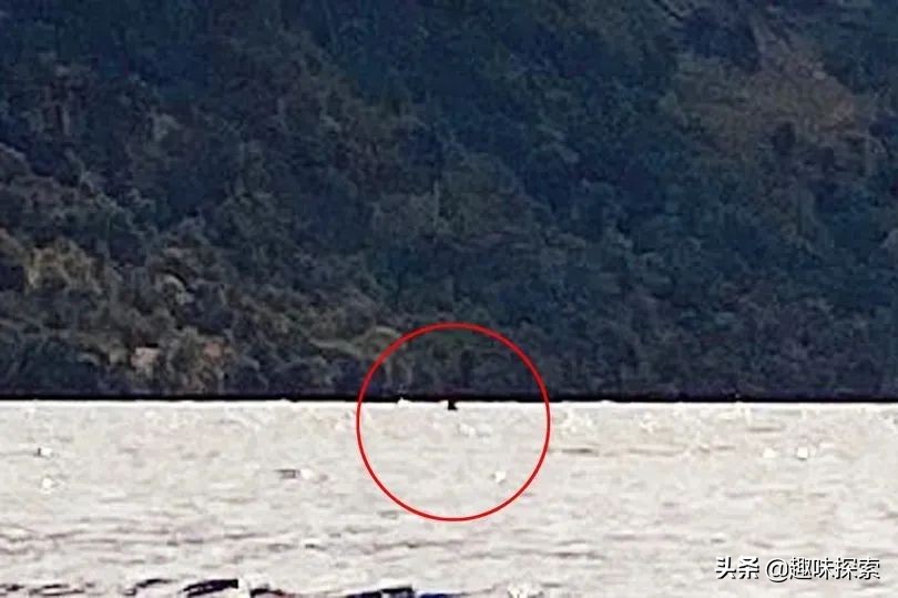 尼斯湖水怪和水猴子真的存在吗 (尼斯湖水怪真的存在我们地球吗)