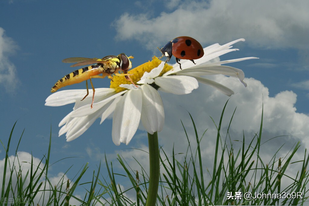 赶紧收藏起来的素材,写作素材必备100个