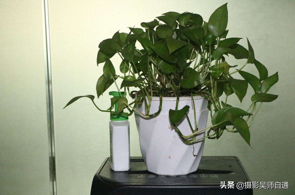 相机有哪些实用功能,相机的三大基本功能