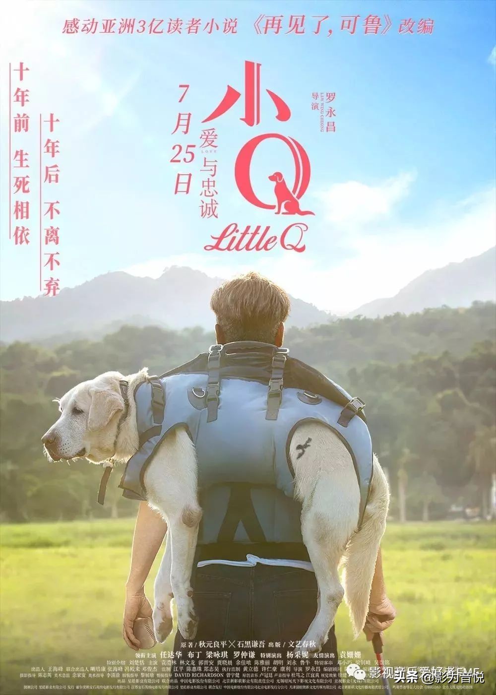 《小Q》，一场温暖耳朵的音乐之旅