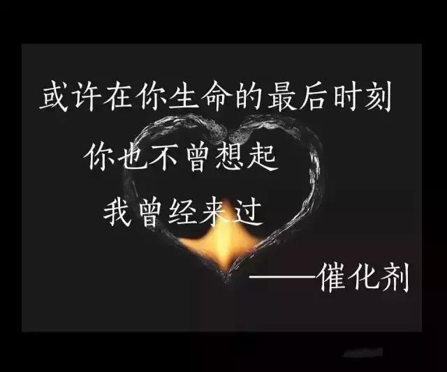 化学理科生的浪漫,化学理科生的浪漫情书