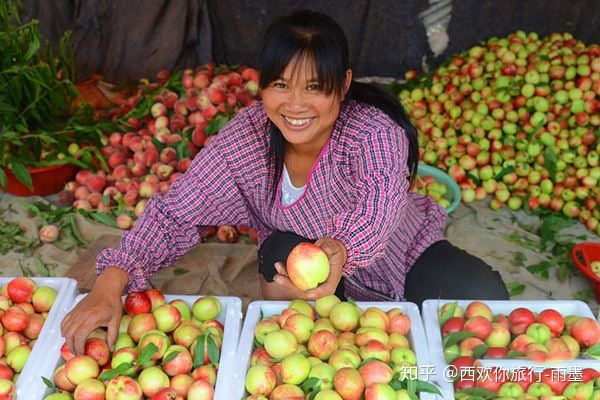 *疆新**瓜果攻略最好的季节配最美味的水果