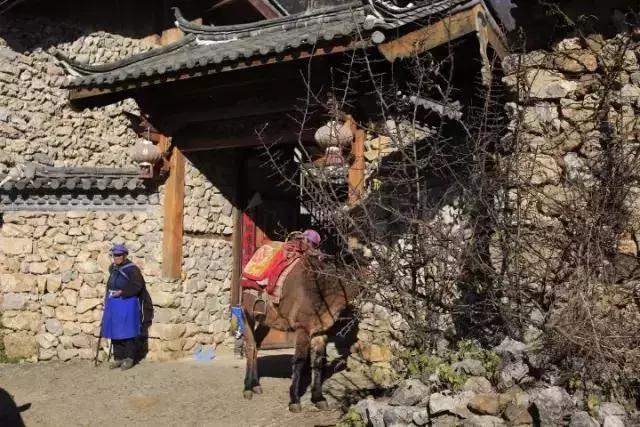 49岁大叔建石头房,50岁大叔花了2800娶个媳妇