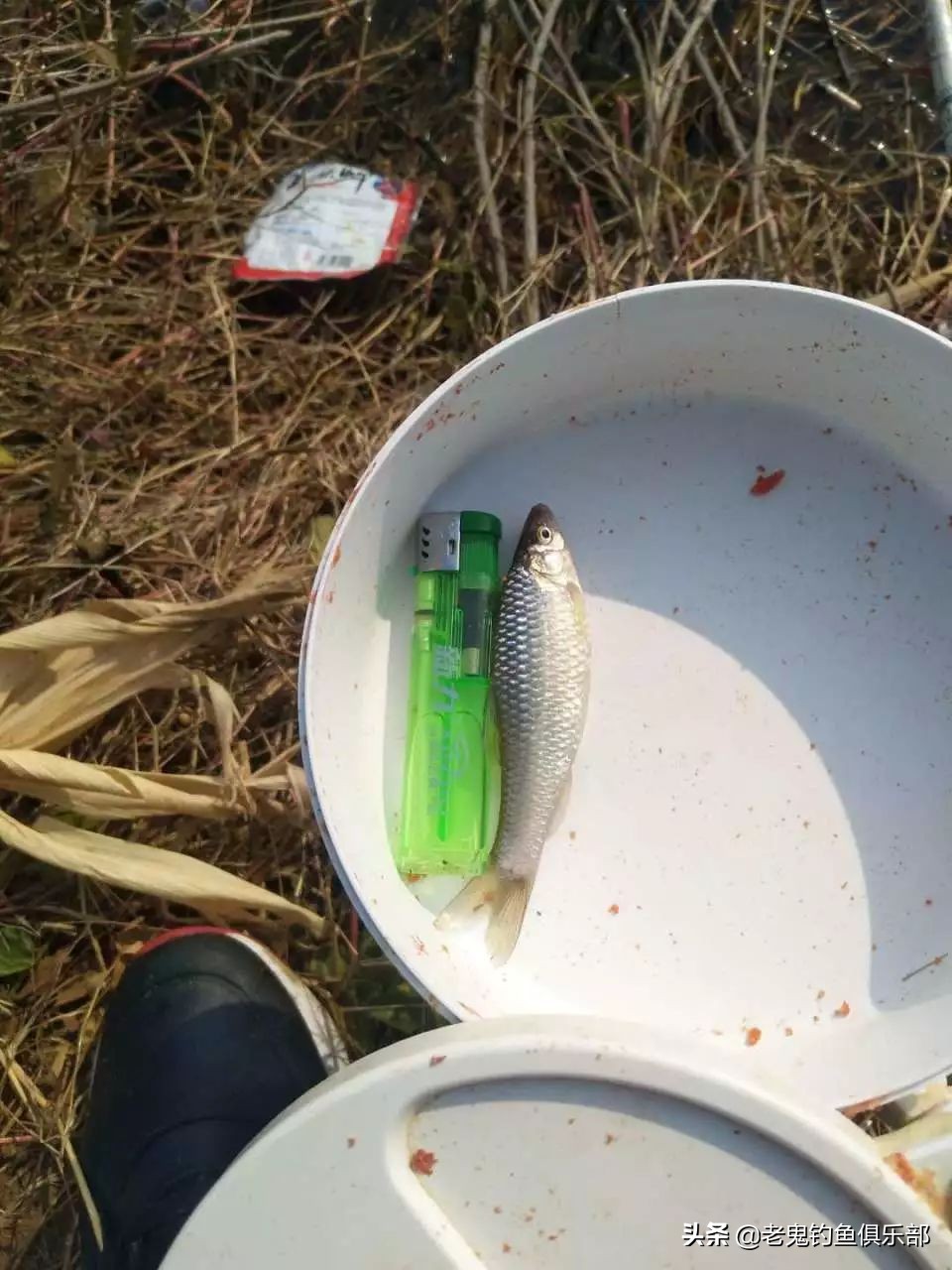 老鬼最经典鲫鱼饵料,老鬼饵料官方旗舰店大鲫大鲤