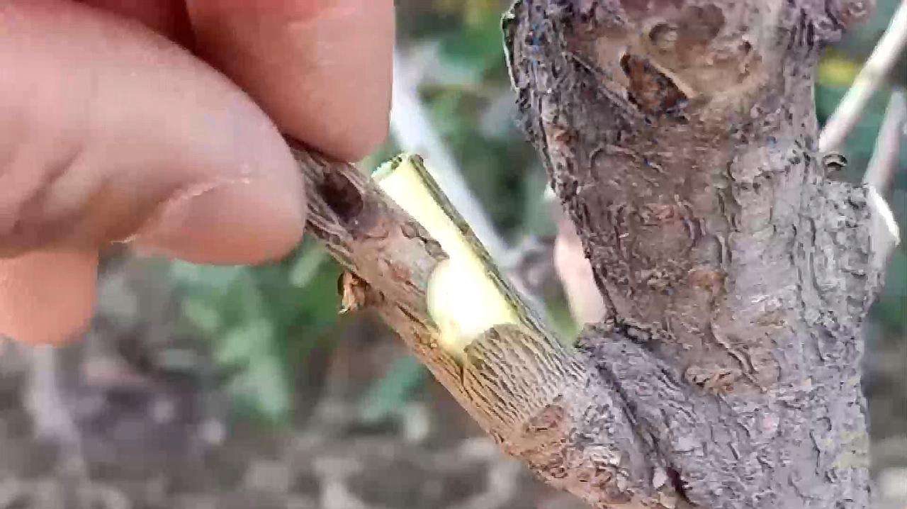 不同年龄孩子眼中的父亲,孩子眼里的爸爸超级厉害