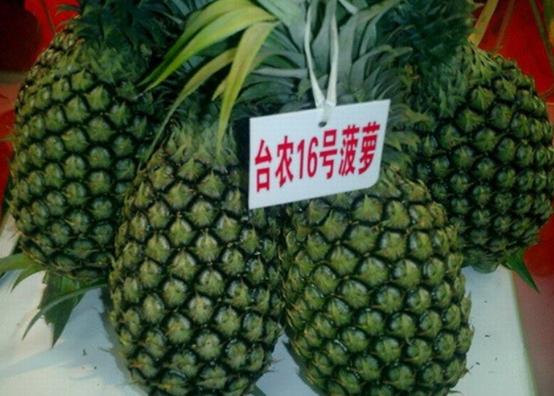 南国四大果品有哪几种,南国四大果菠萝