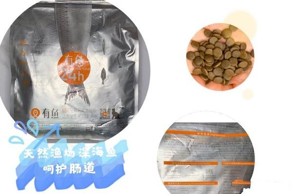 测评养猫,排名前十的猫粮养猫必看