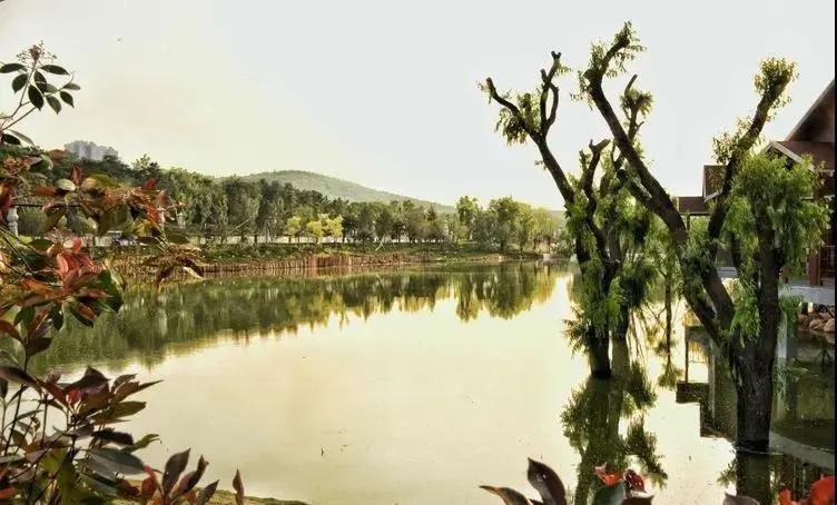 泰山案例,西湖印象拍摄地点