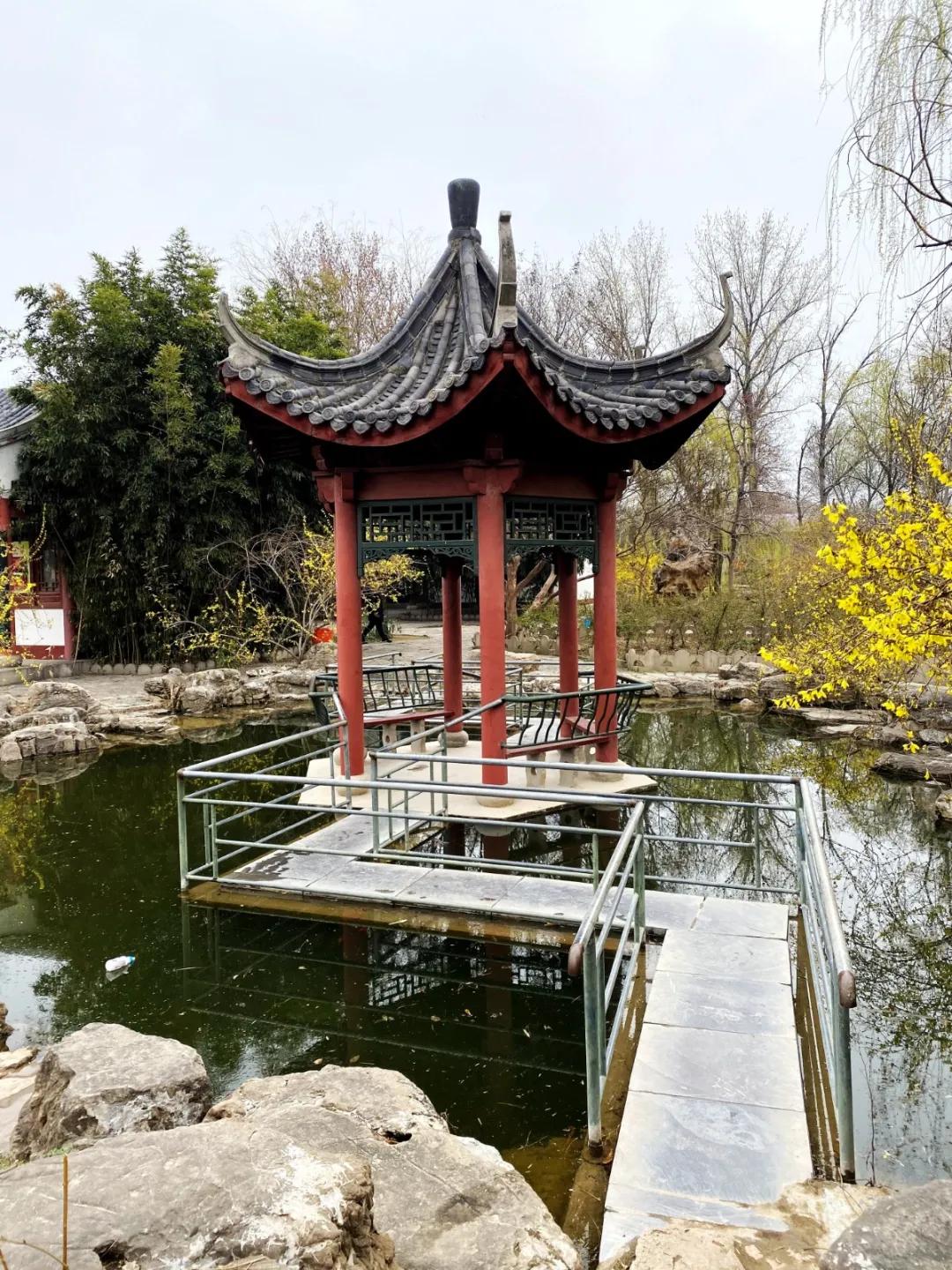 聊城姜堤乐园的门票是多少钱,姜堤乐园玻璃桥