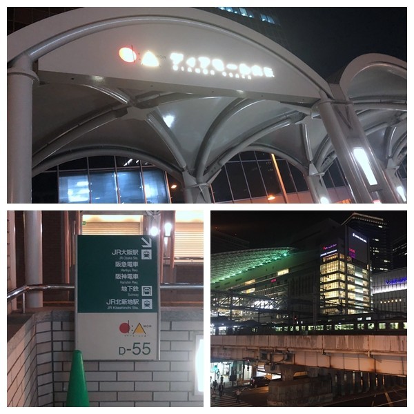 箱根到奈良如何坐车,日本东京京都箱根大阪奈良8日游