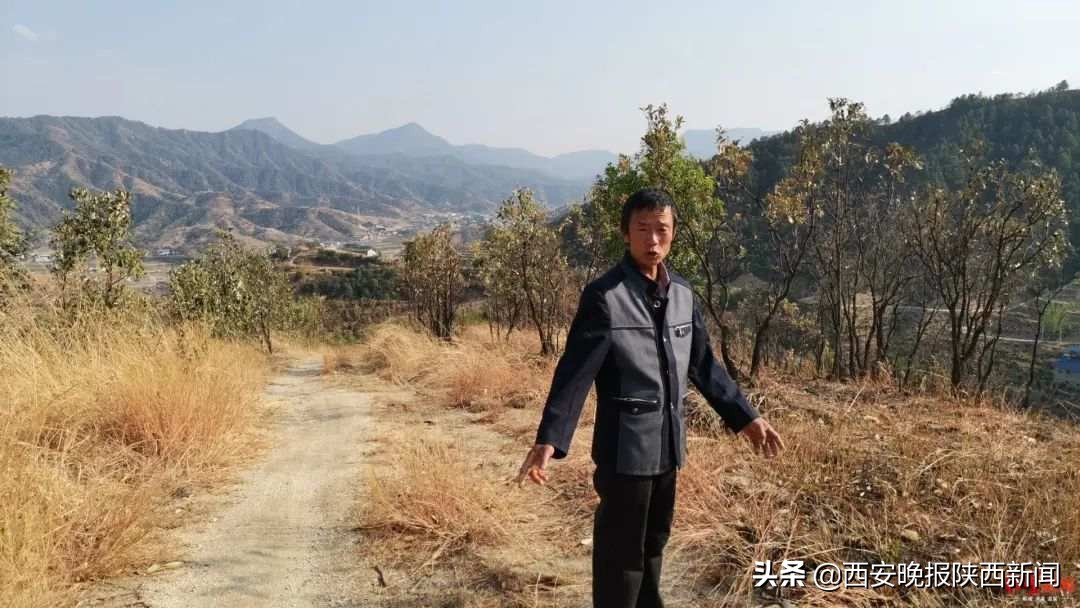 村民自费修山路被罚四万元,村民自费修山路被罚4万后续结果