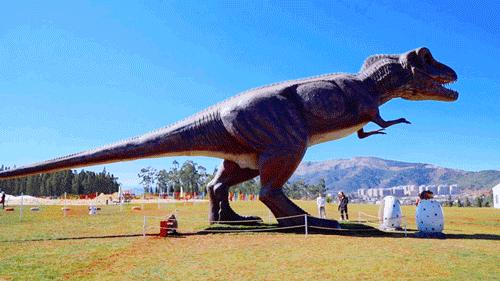 昆明亲子游户外旅行地,昆明周边户外游玩景点推荐带孩子