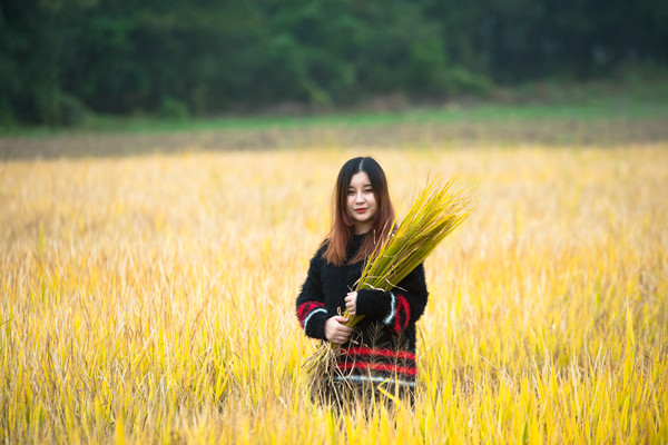 鄱湖之秋,鄱湖之滨信江之畔余干
